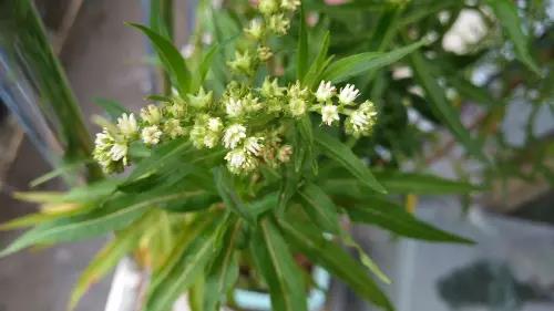 微信圖片_20250212093038 微信圖片_20250212093038.jpg