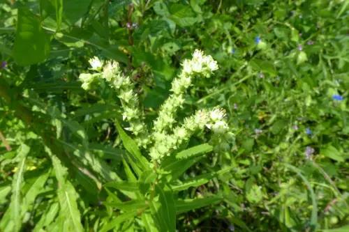 微信圖片_20250212093034 微信圖片_20250212093034.jpg