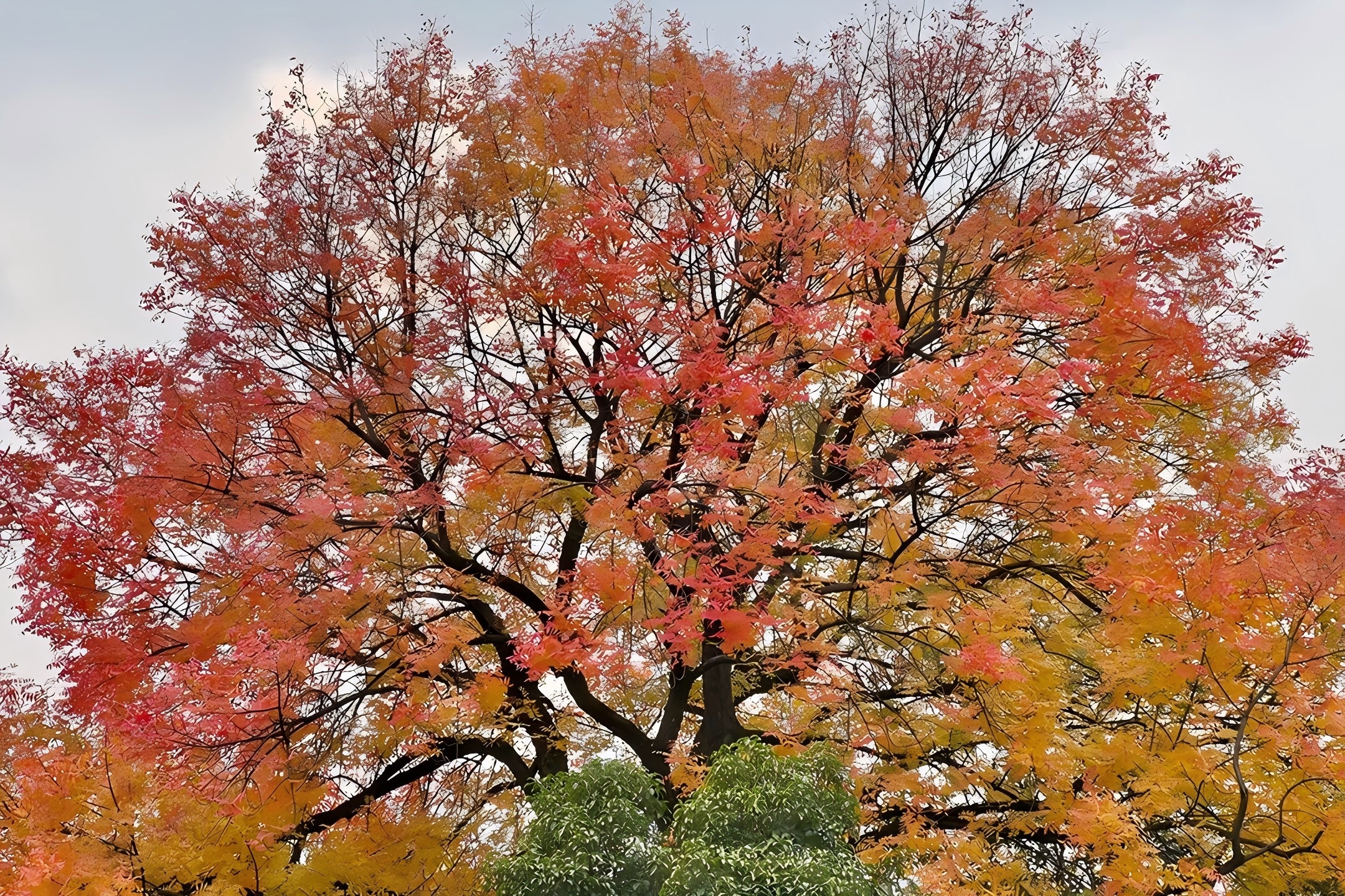 8eba53ebdd9fa879afea793739ea6384_sz-1541956